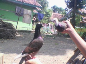 1898092_641014205946193_764064854_n-300x225