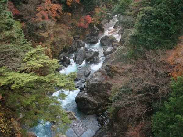 suara-gemericik-air-untuk-terapi-burung-kicau