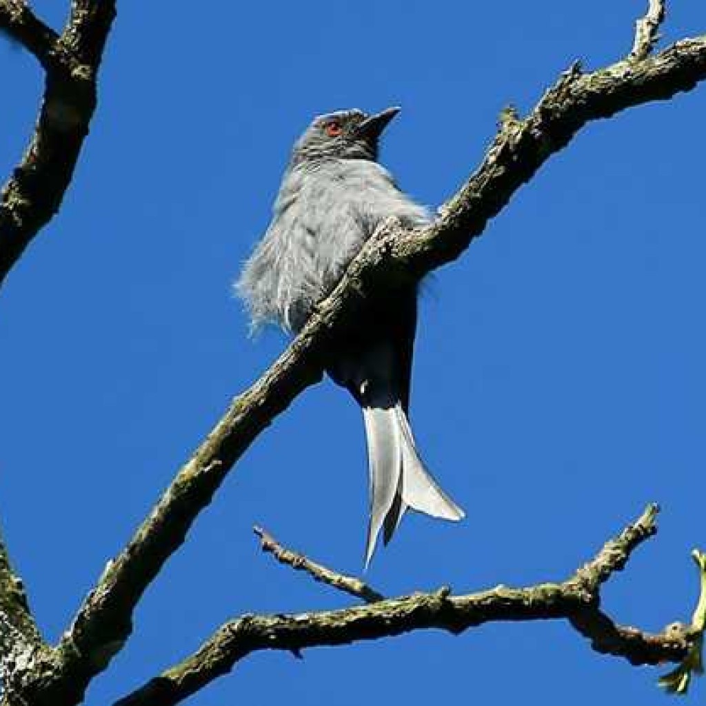 Index Of Wp Content Uploads 2016 02