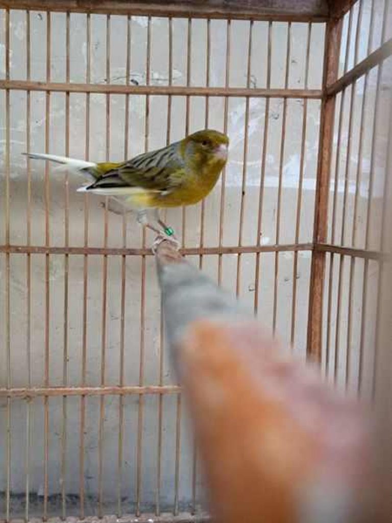 Index Of Wp Content Uploads 2017 07