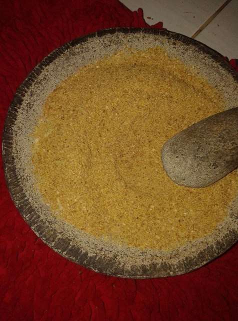 makanan-pleci-agar-buka-paruh