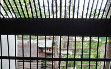 Index Of Wp Content Uploads 2018 01