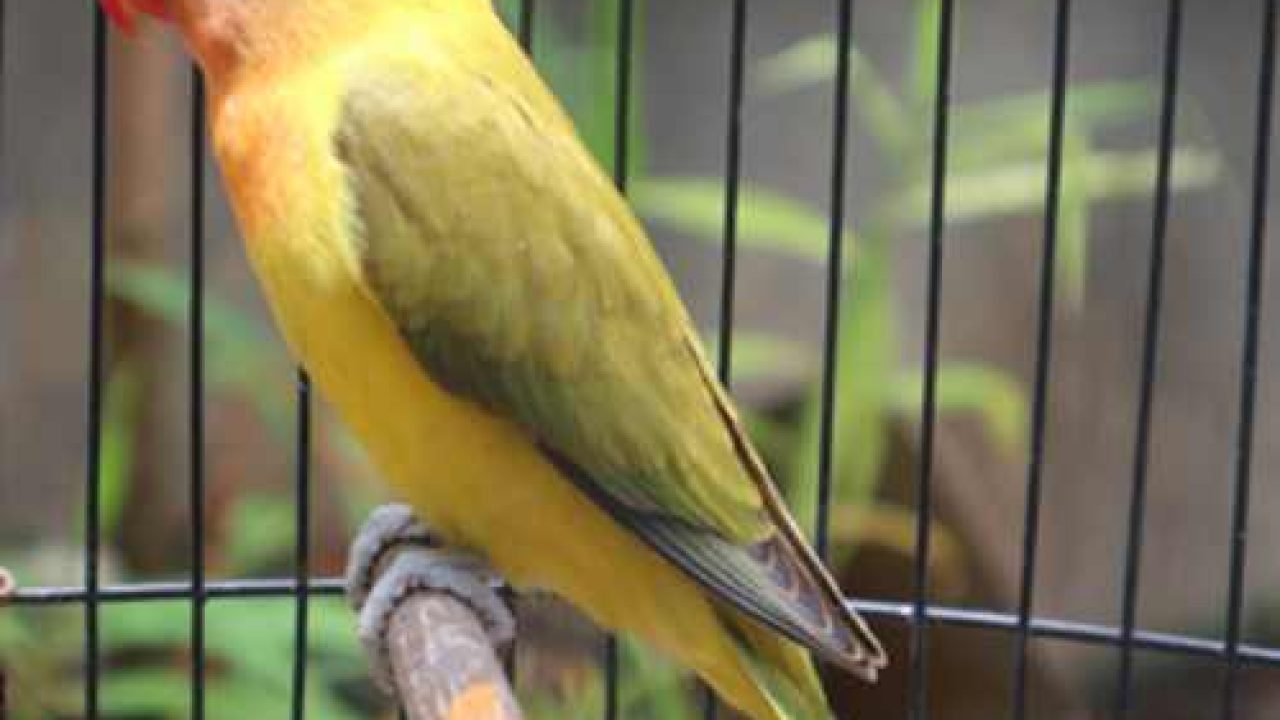 Index Of Wp Content Uploads 2018 04