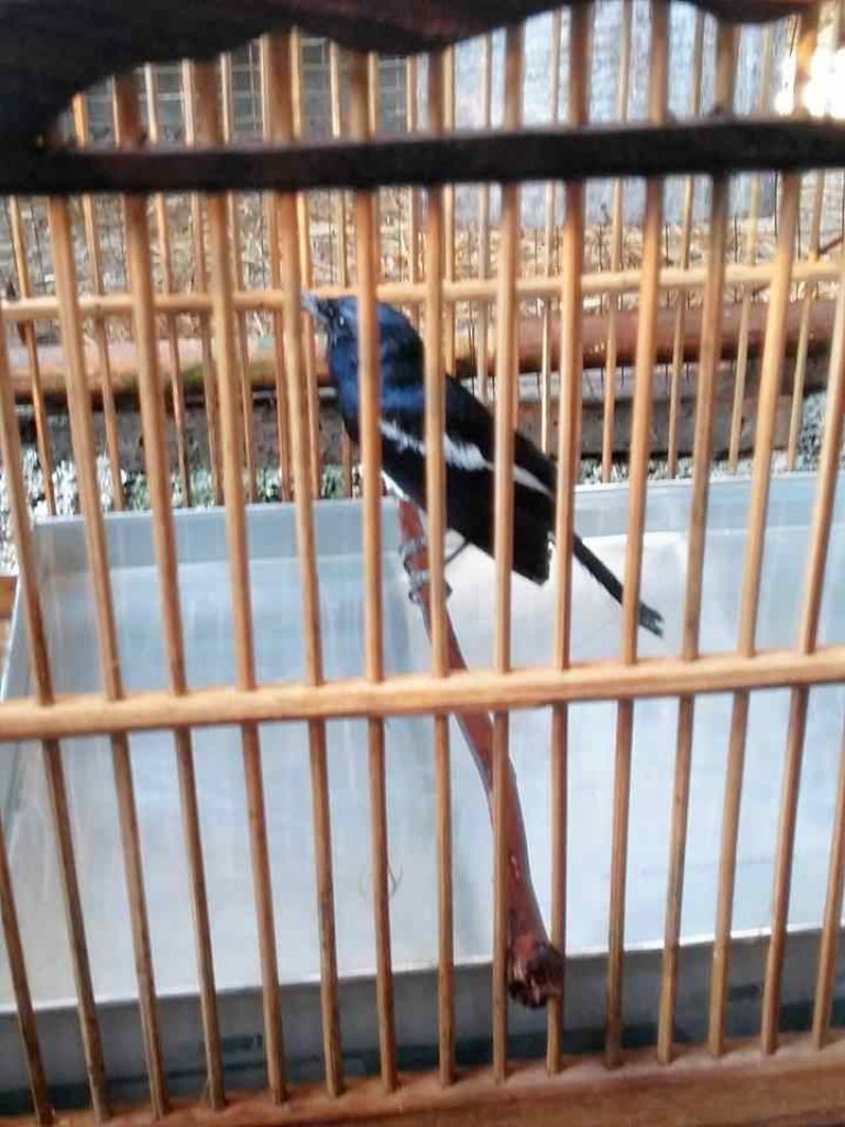 Index Of Wp Content Uploads 2018 09