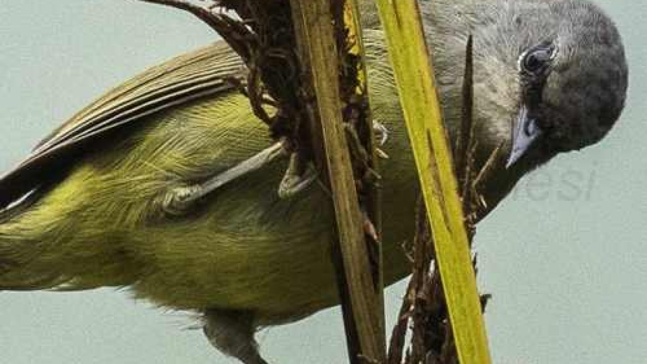 Index Of Wp Content Uploads 2018 09