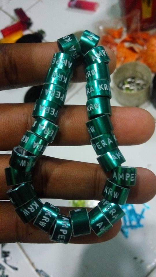 √ Jual Ring Merpati Berbagai Model, Nama Atur Sendiri