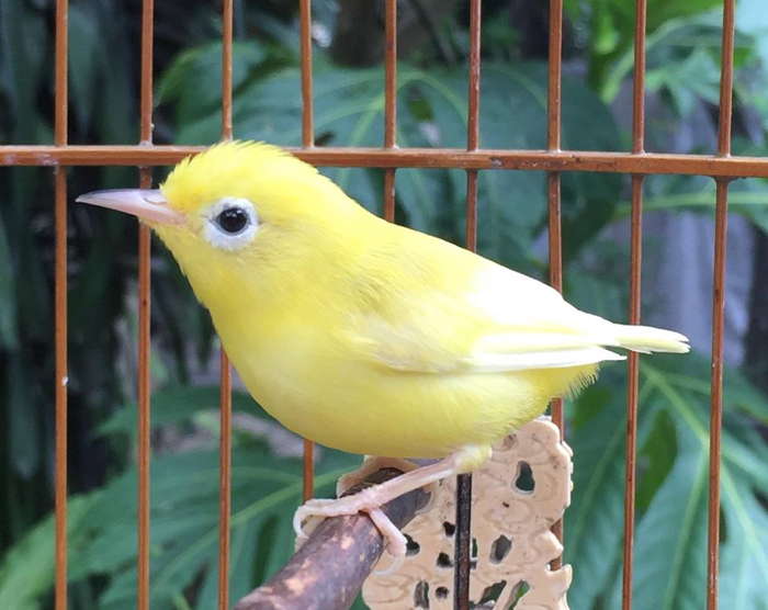 Index Of Wp Content Uploads Backup 2016 12