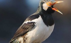 Index Of Wp Content Uploads Ktz Old