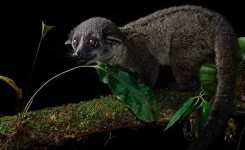 Index Of Wp Content Uploads Ktz Old