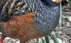 Index Of Wp Content Uploads Ktz